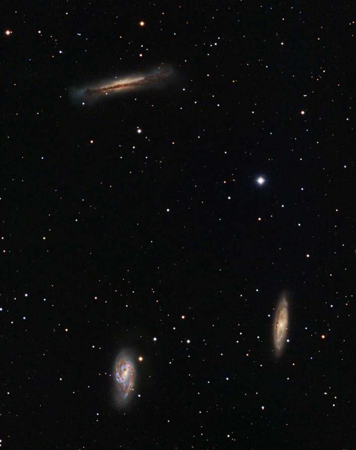 M65 and M66