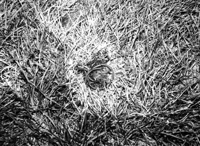 Sputnik fragment found in West Bend. MAS Photo by Ed Halbach