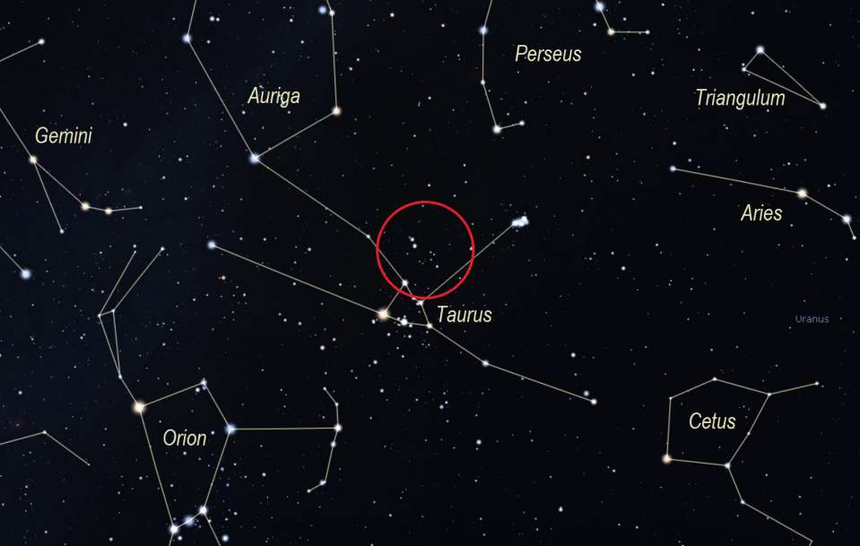 Davis' Dog finder chart - Stellarium