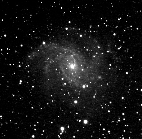 NGC 6946 by Paul Borchardt 