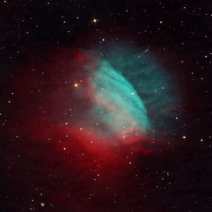 Sh2-174 - The Valentine Rose Nebula