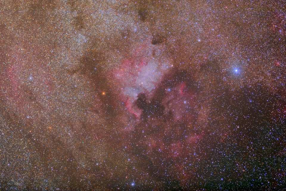 Cygnus Region 
		- North American Nebula 