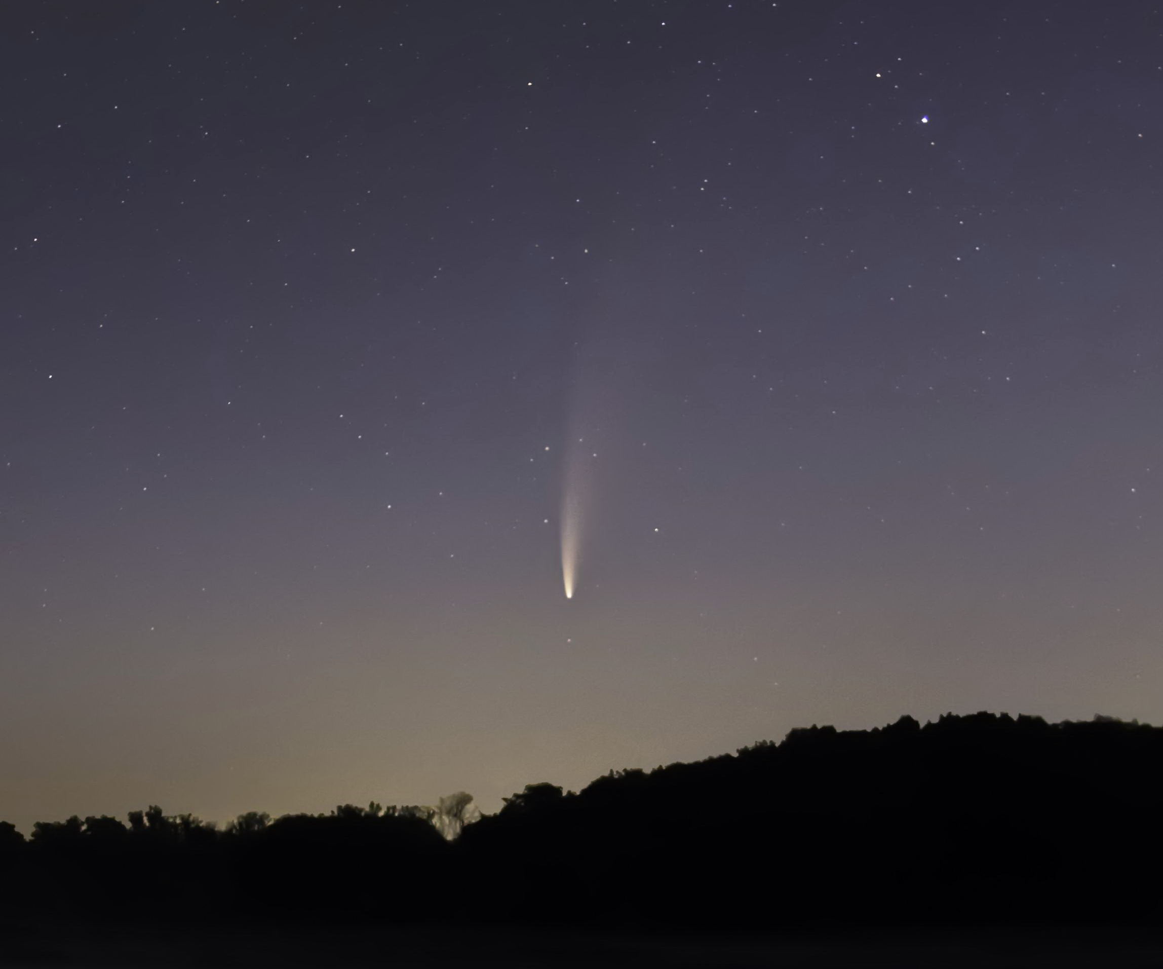 Comet 2020/F3 Neowise. MAS Image.