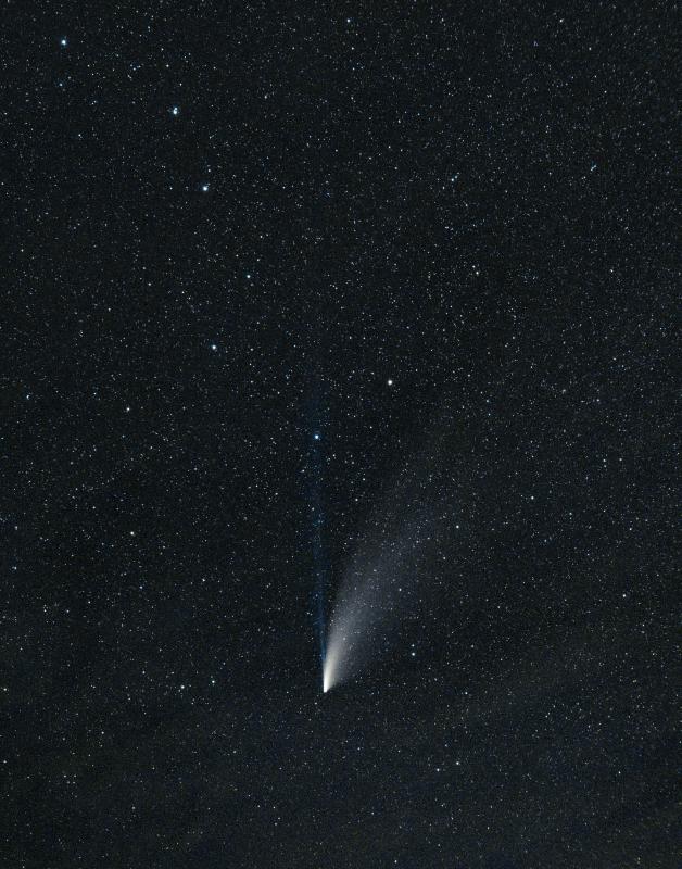 Comet Neowise (C2020 F3) by Nolan Zadra 