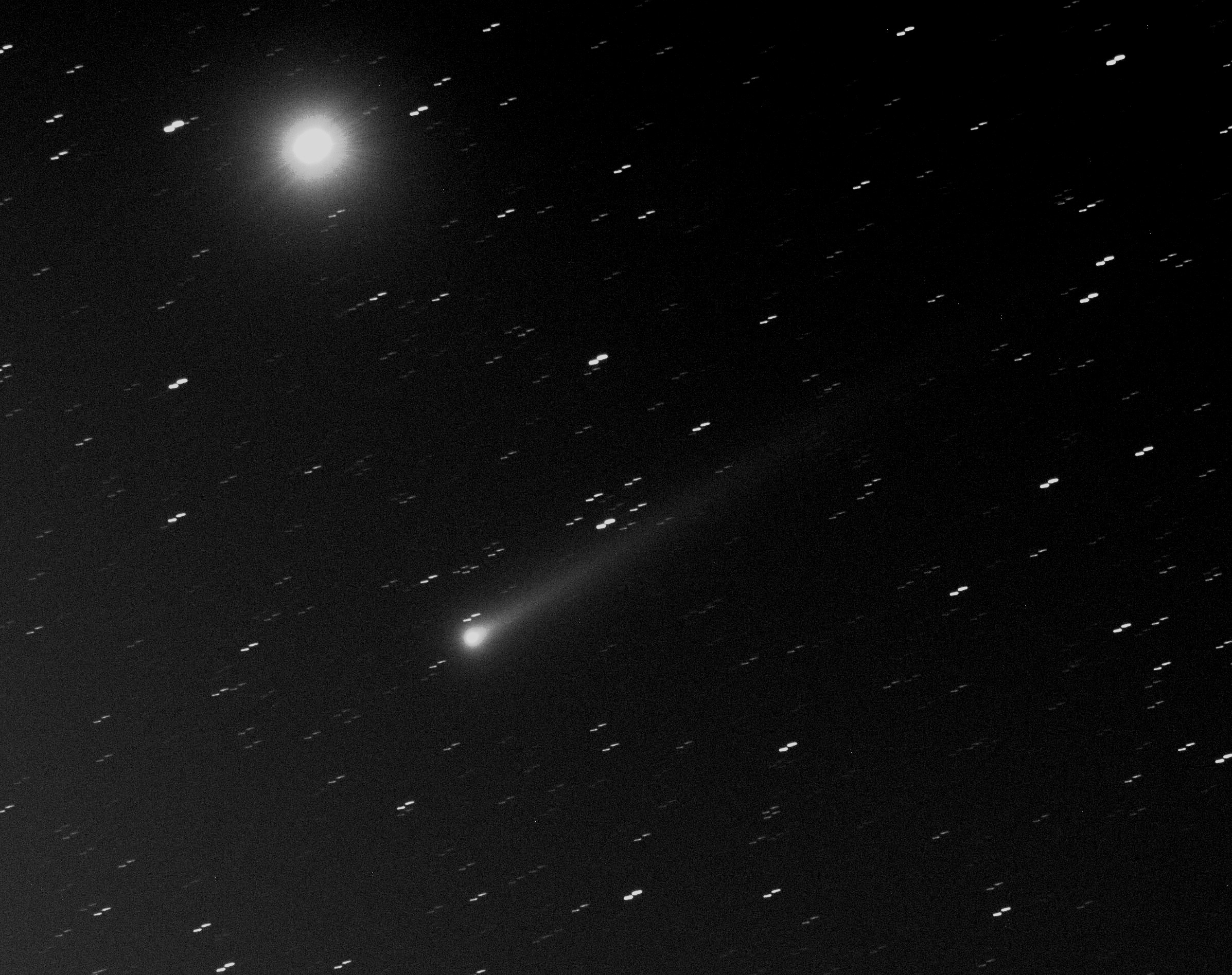 Comet 
		ISON by Dennis Roscoe 
