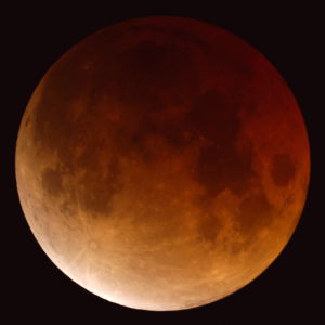 Lunar eclipse image by MAS member Paul Borchardt