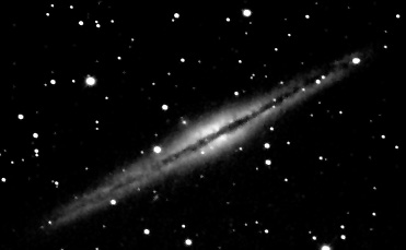 NGC 891 by Paul Borchardt 