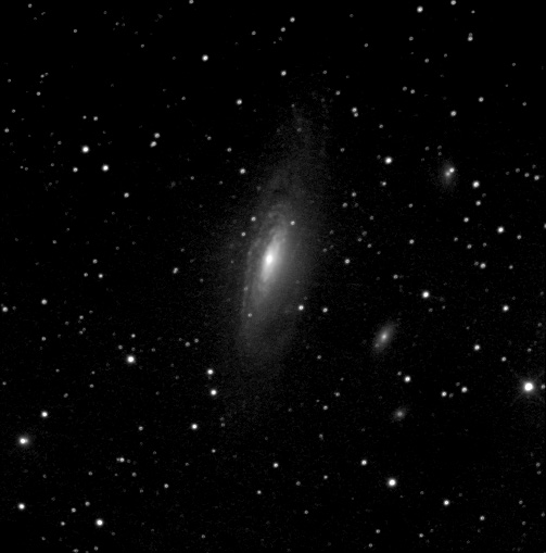 NGC 7331 by Paul Borchardt 