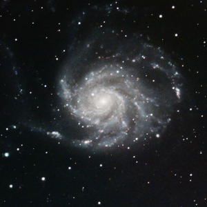 M101 Pinwheel Galaxy by Ron Lundgren 