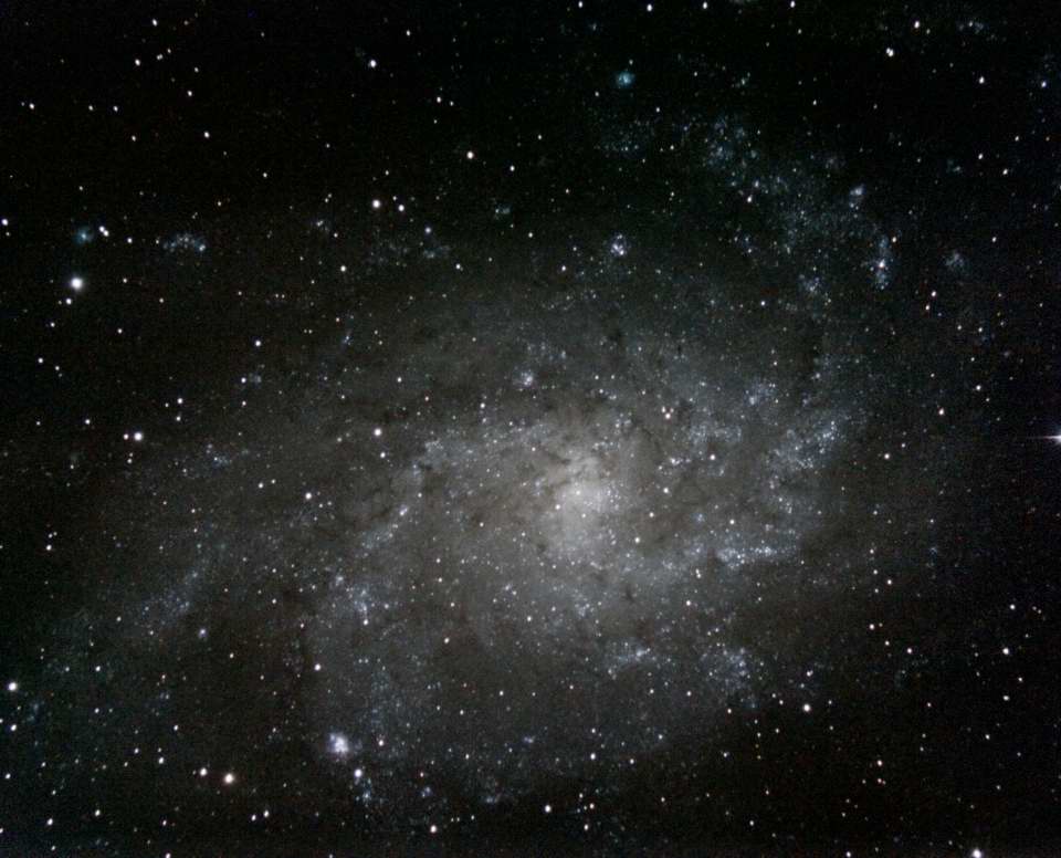 M33 - Triangulum Galaxy by Mike Bauer 