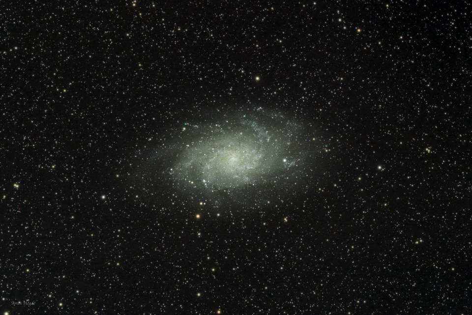 M33 - The Triangulum Galaxy by Arun Hegde 