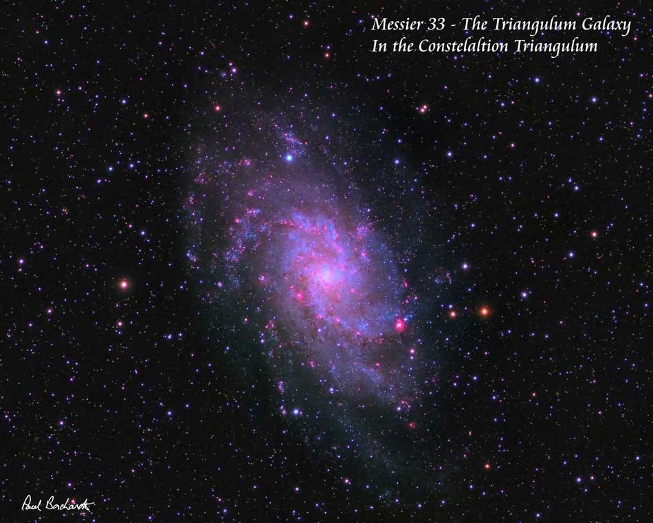 M33 - Triangulum Galaxy by Paul Borchardt 