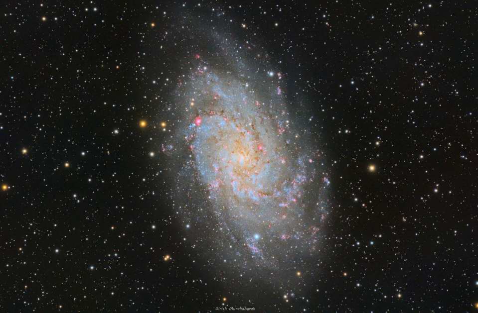 M33 Triangulum in HaLRGB
