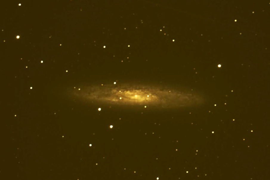 NGC 253  by Dennis Horvath 