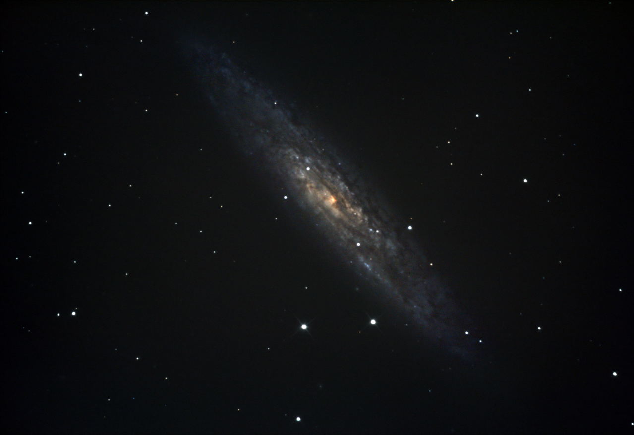 Sculptor Galaxy - NGC 253 by Tamas Kriska 