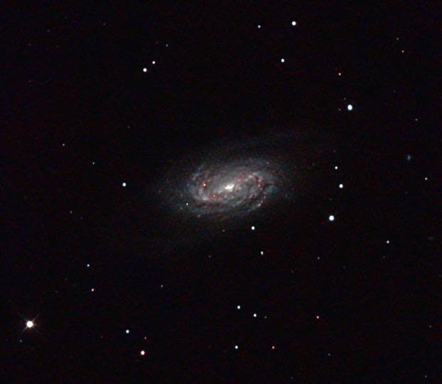 NGC 2903 by Paul Borchardt 