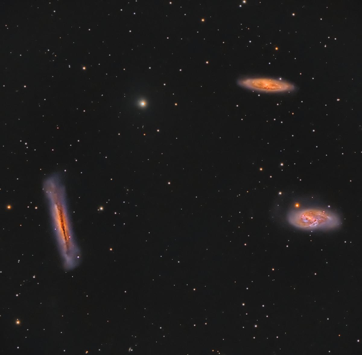 Leo Triplet by Chad Andrist 