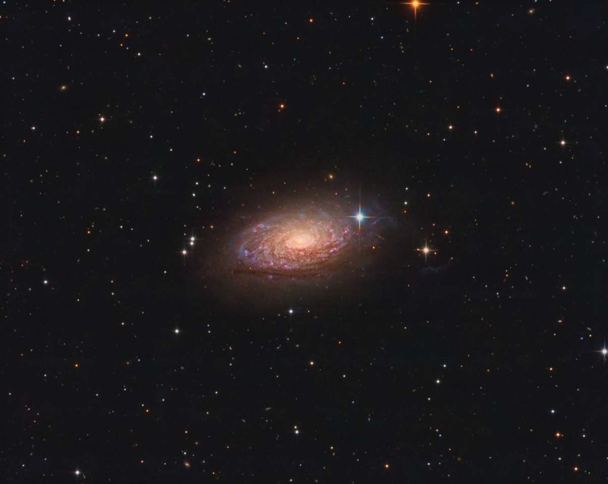 M63 - The Sunflower Galaxy by Gabe Shaughnessy 