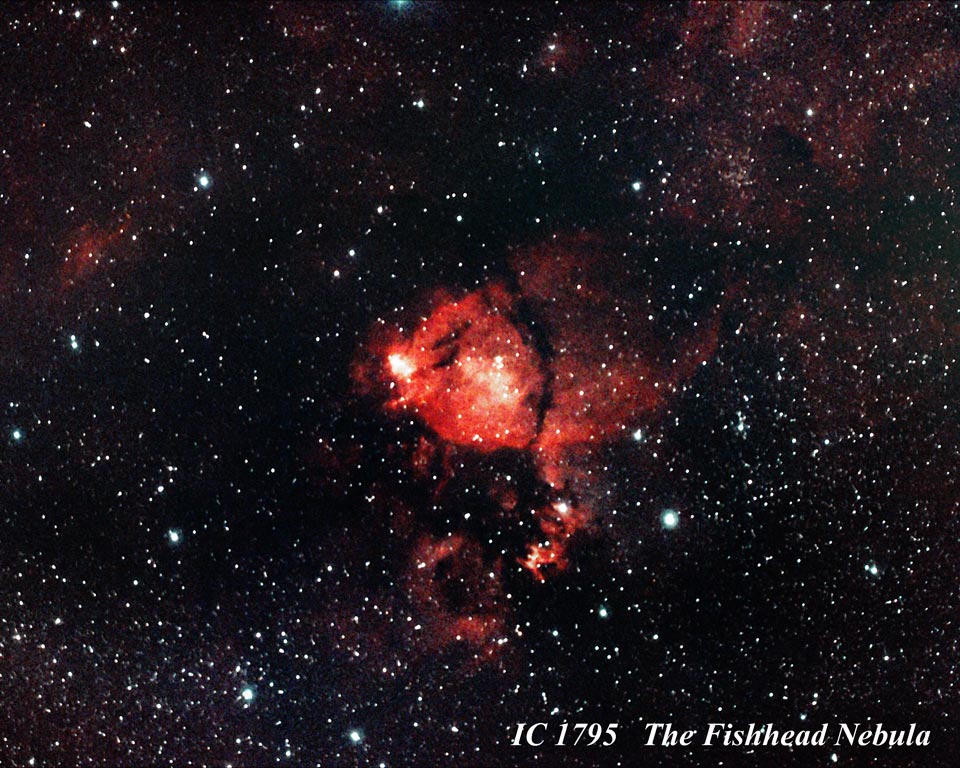 IC 1795 - Fish Head Nebula