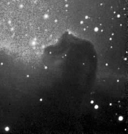 Horsehead Nebula by Steve Diesso 