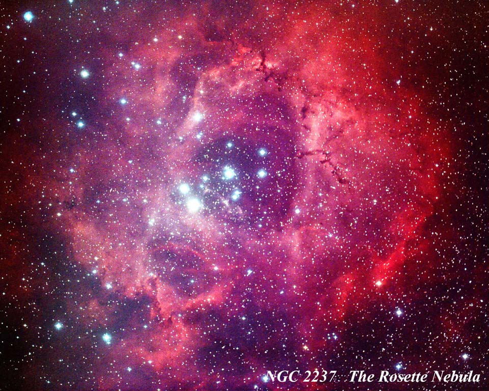 NGC 2237 - Rosette Nebula by Paul Borchardt 