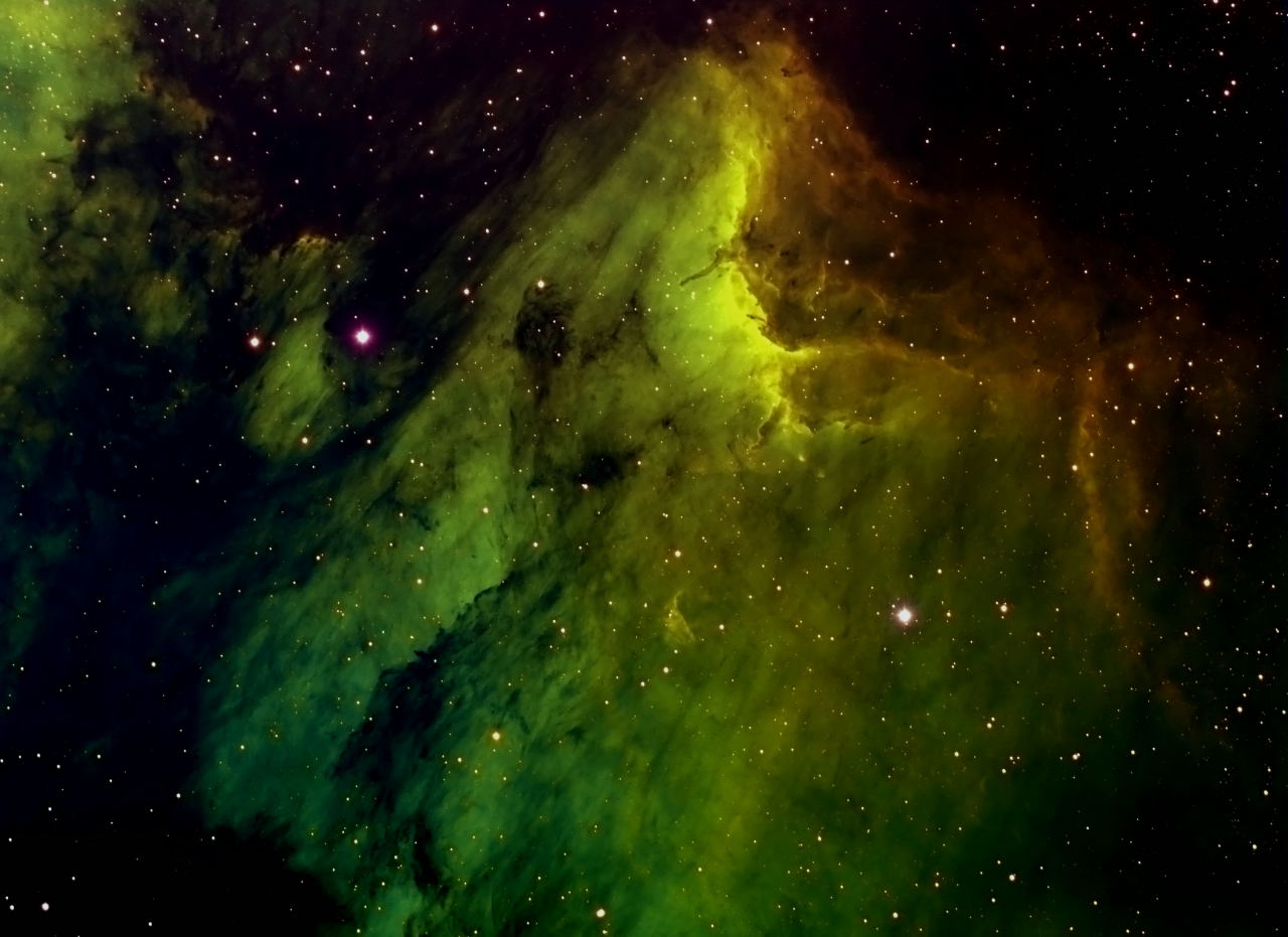 Pelican Nebula by Dennis Roscoe 