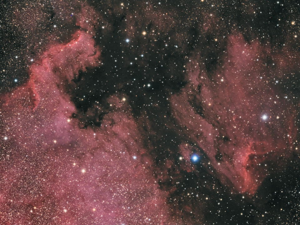 North American & Pelican Nebula