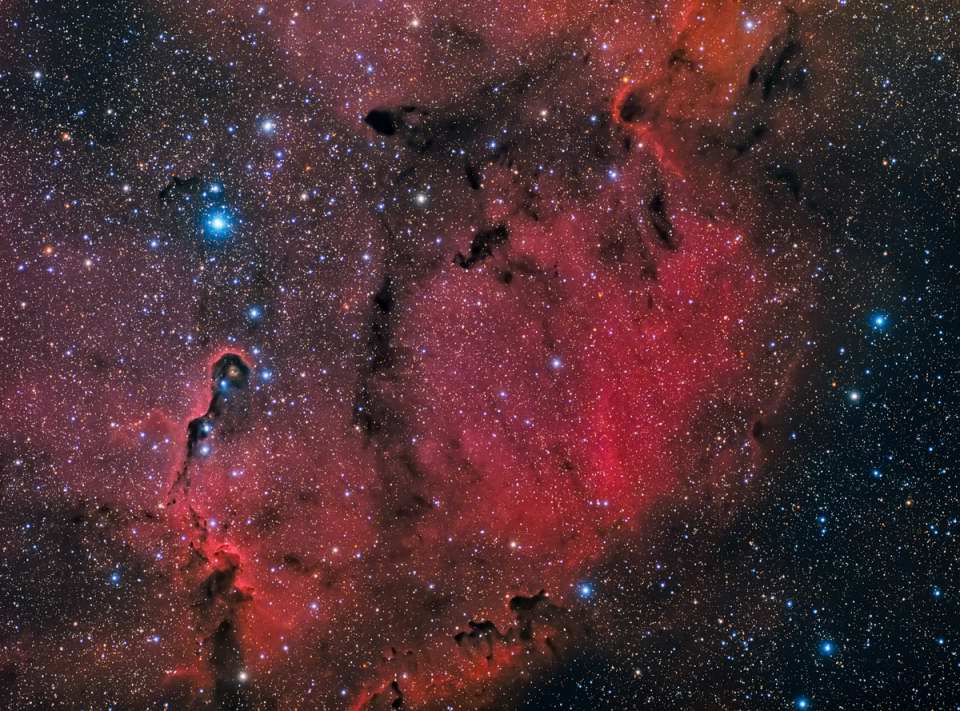 Elephant's Trunk Nebula - IC1396A by Chad Andrist 
