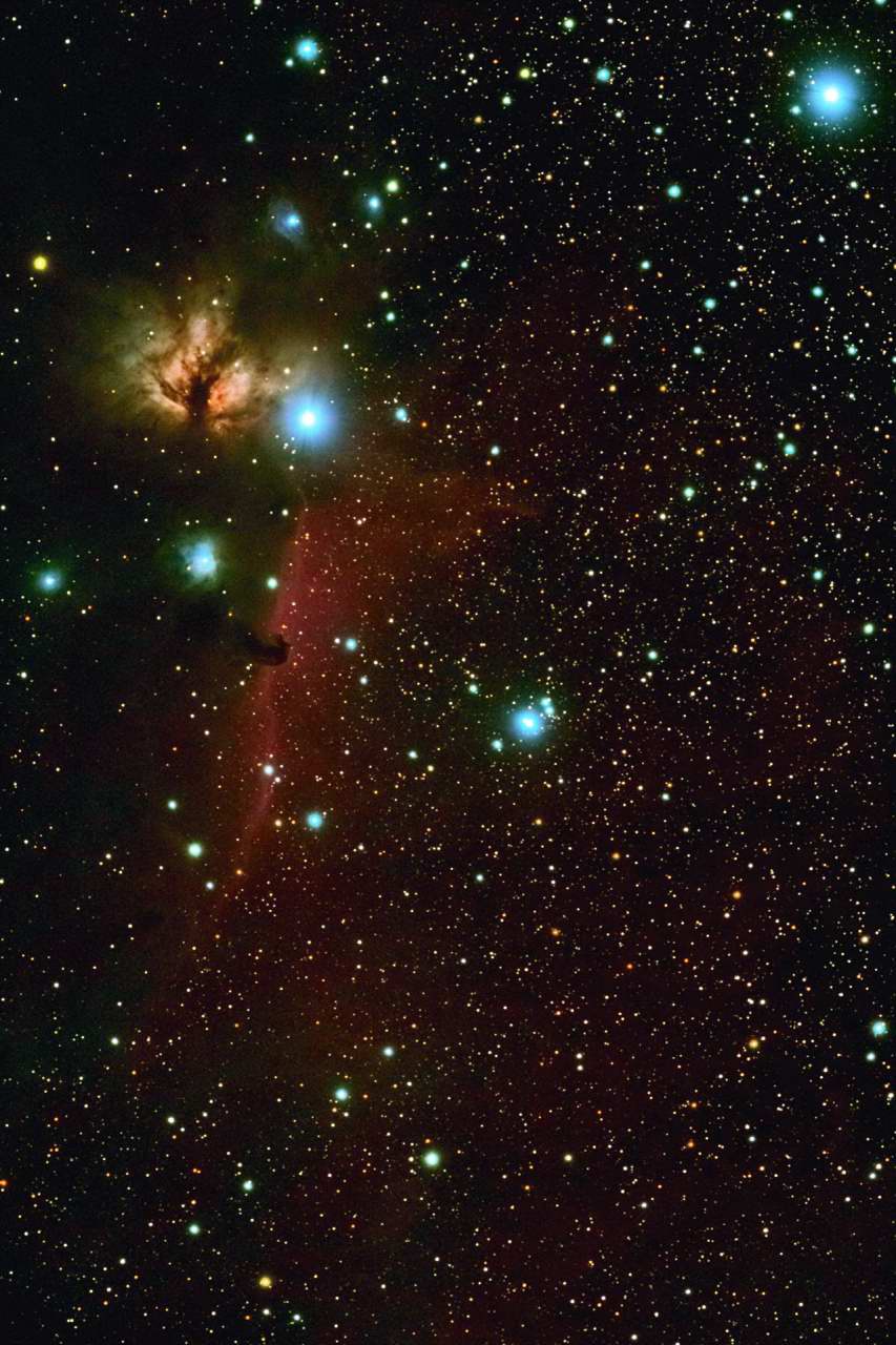 Horsehead and Flame Nebulas
