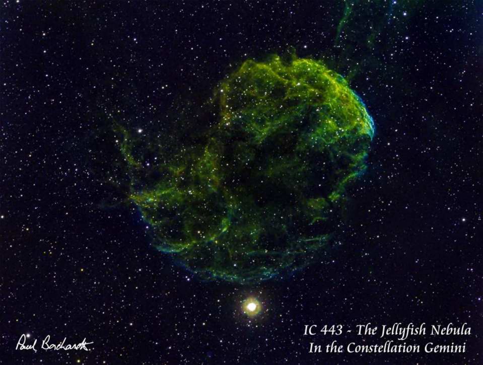 IC 443 - The Jellyfish Nebula by Paul Borchardt 