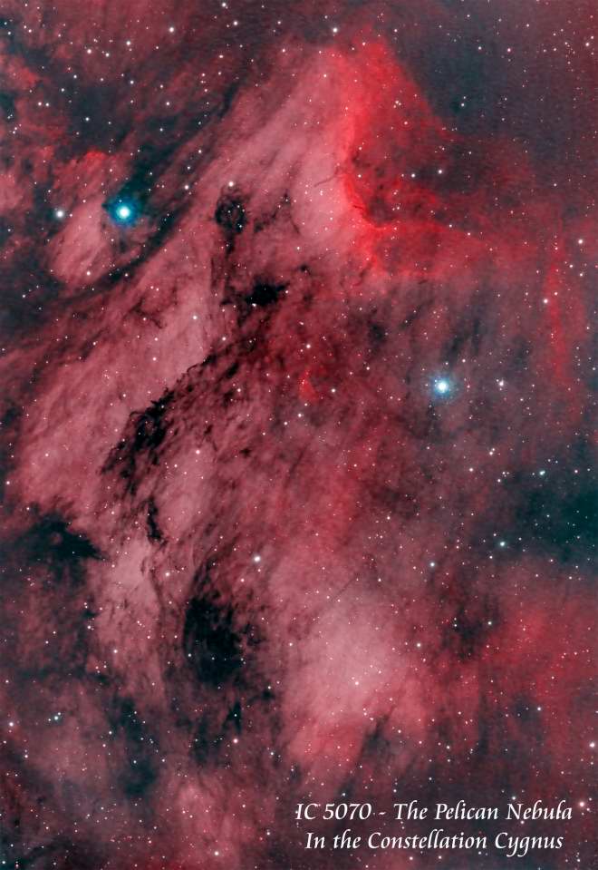 IC 5070 - The 
		Pelican Nebula  