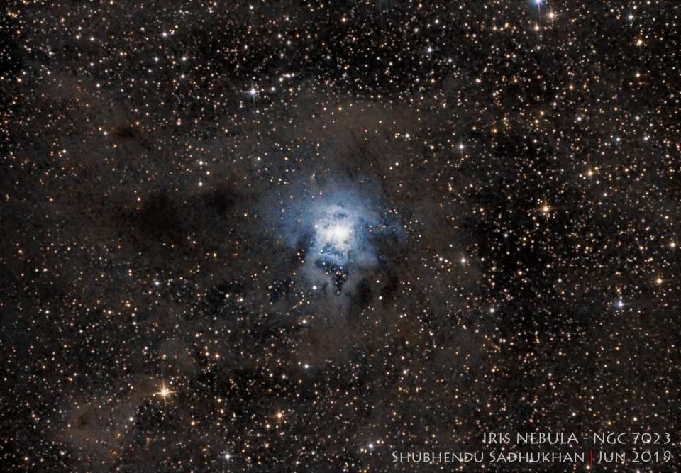 NGC 7023 - Iris Nebula by Shubhendu Sadhukhan 