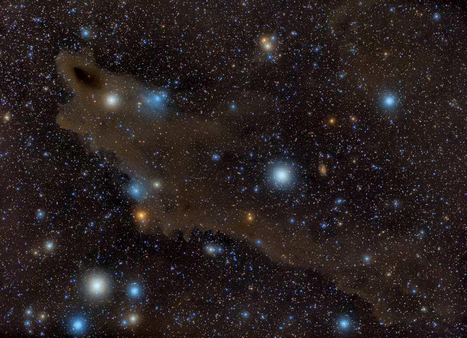 LDN 1235 - 
		Shark Nebula