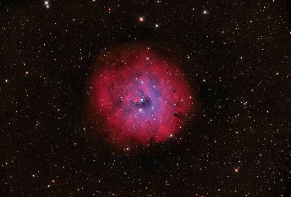 Sharpless 170 
		- Little Rosette Nebula