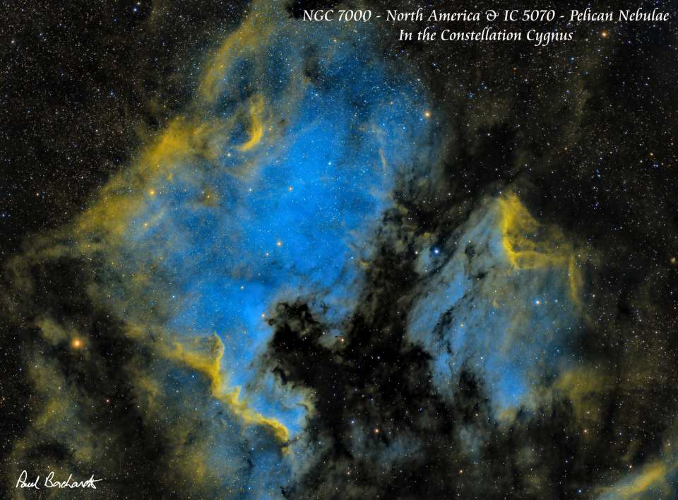 NGC 7000 and IC 5070 - North American / Pelican Nebula by Paul Borchardt 