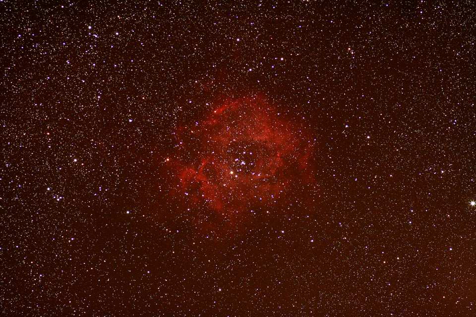 Rosette Nebula  by Tom Schmidtkunz 