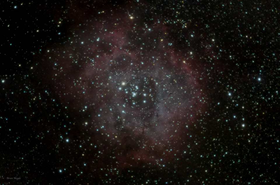 NGC 2137 - The Rosette Nebula
