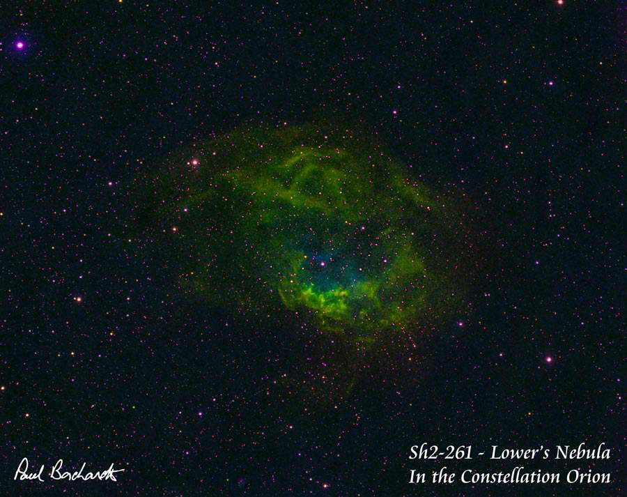 Sharpless 261 - Lower's Nebula by Paul Borchardt 