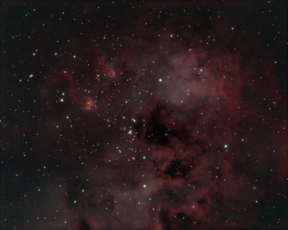 IC410 - Tadpole Nebula