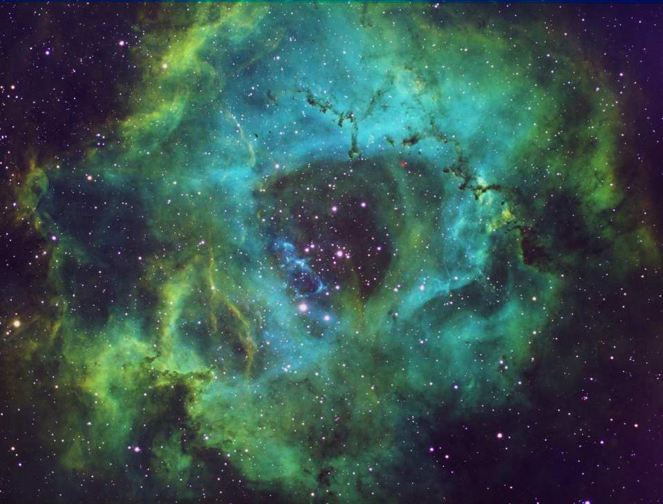 Rosette Nebula by Joshua Acosta 
