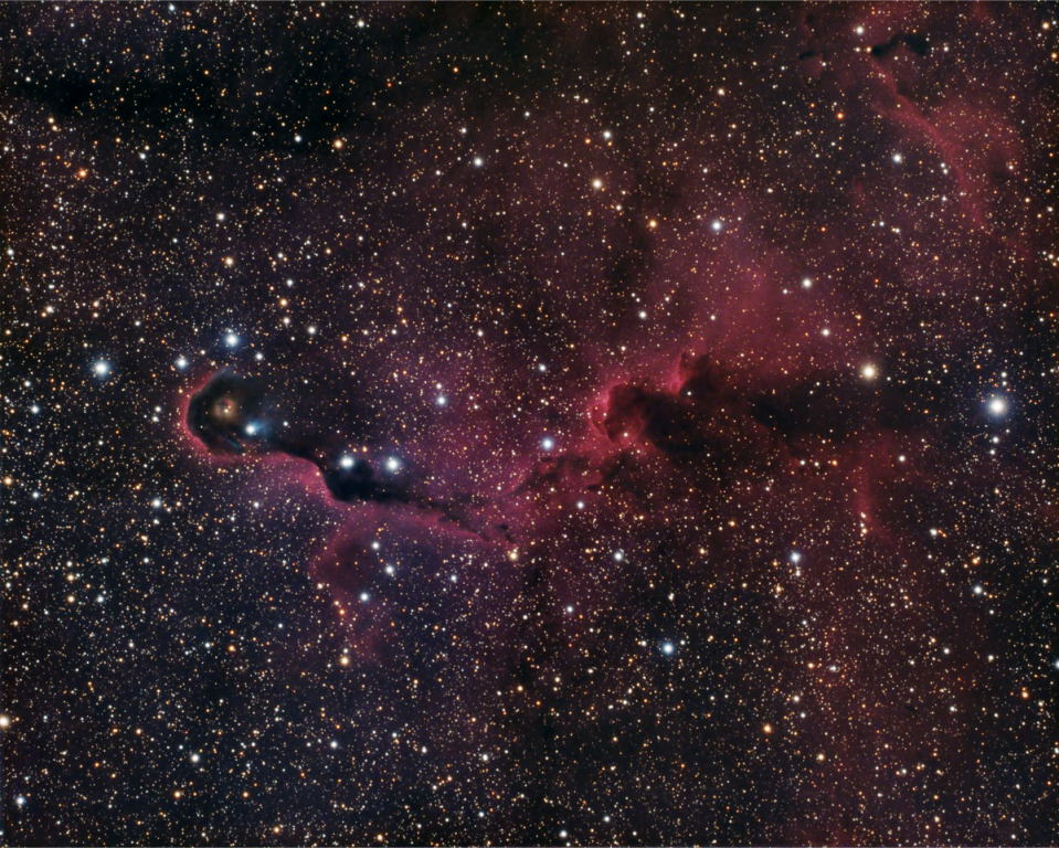 Elephant's Trunk Nebula - IC1396A