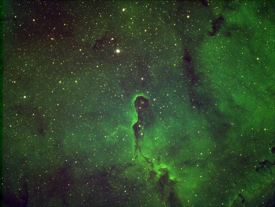 IC 1396 - The Elephant Trunk Nebula by Joshua Acosta 