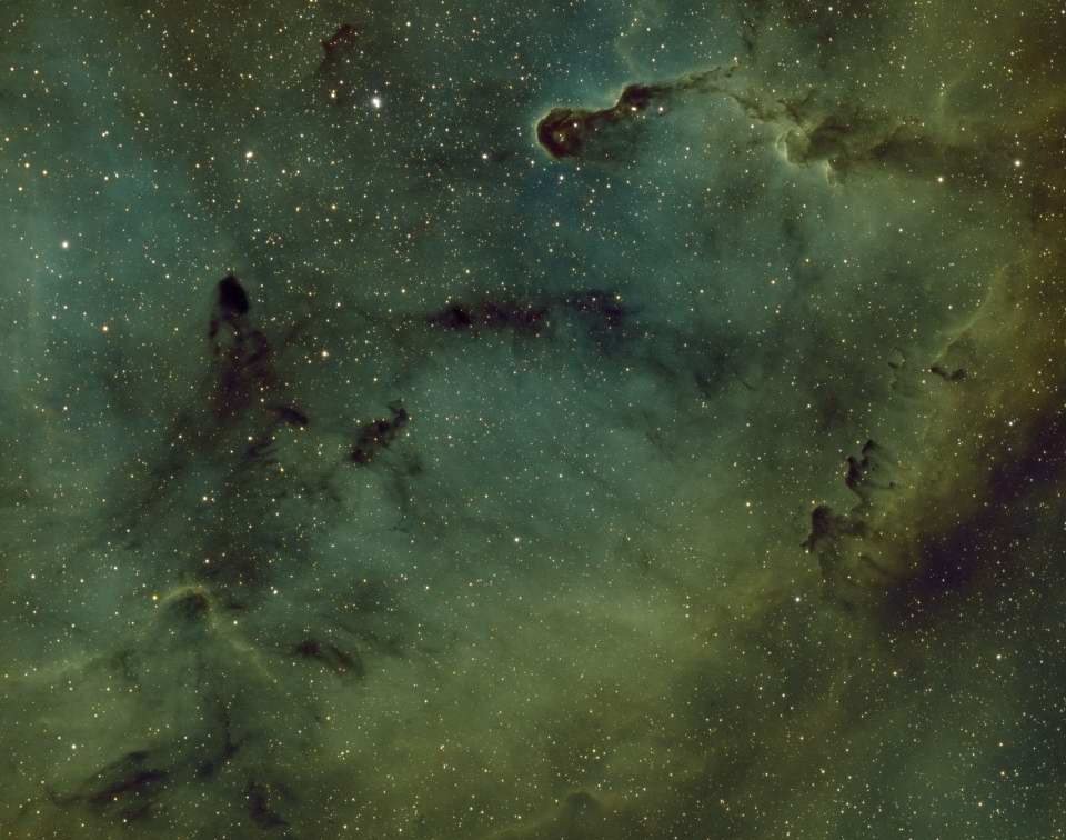 IC 1396 - Elephant's Trunk Nebula by Arun Hegde 