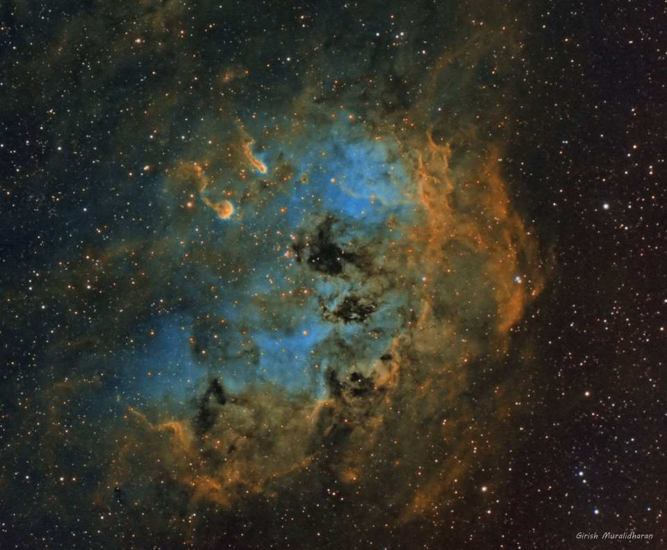 IC 410 - The Tadpoles Nebula by Girish Muralidharan 