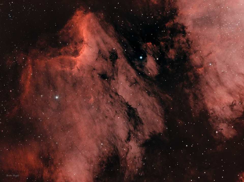 IC 5070- Pelican Nebula