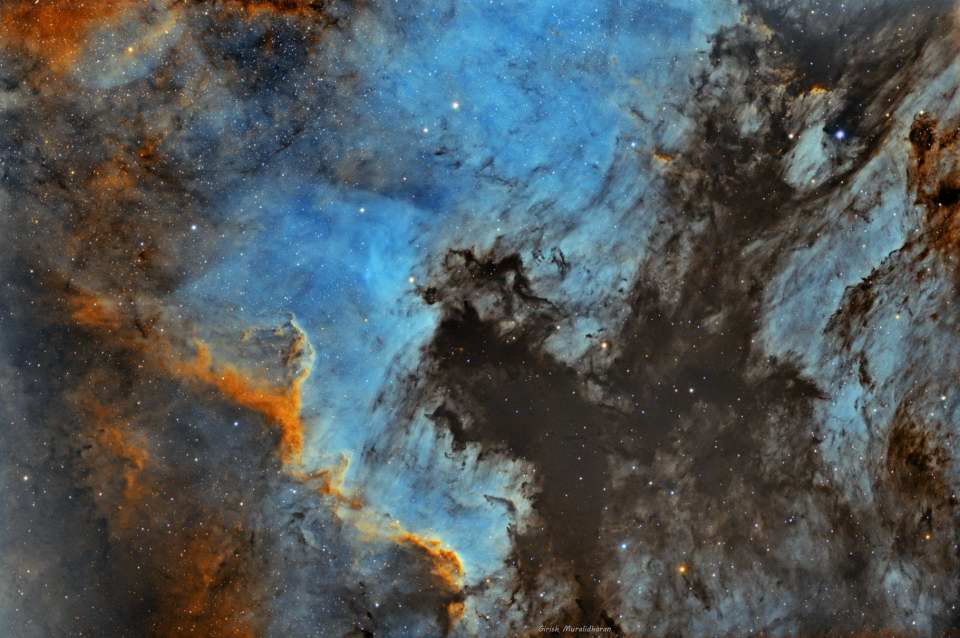 North American Nebula by Girish Muralidharan 
