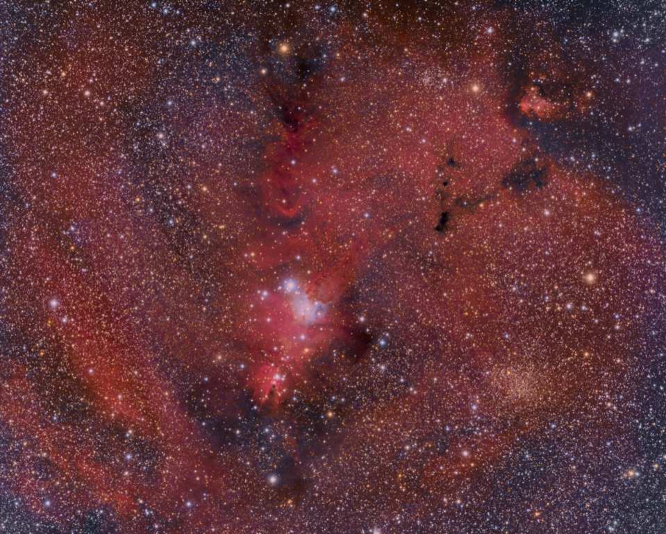 Cone and Fox Fur Nebula