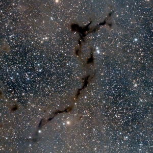 Barnard 150 - The Seahorse Nebula by Gabe Shaughnessy 