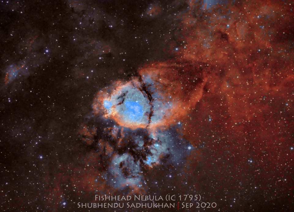 IC 1795 - The Fishhead Nebula by Shubhendu Sadhukhan 