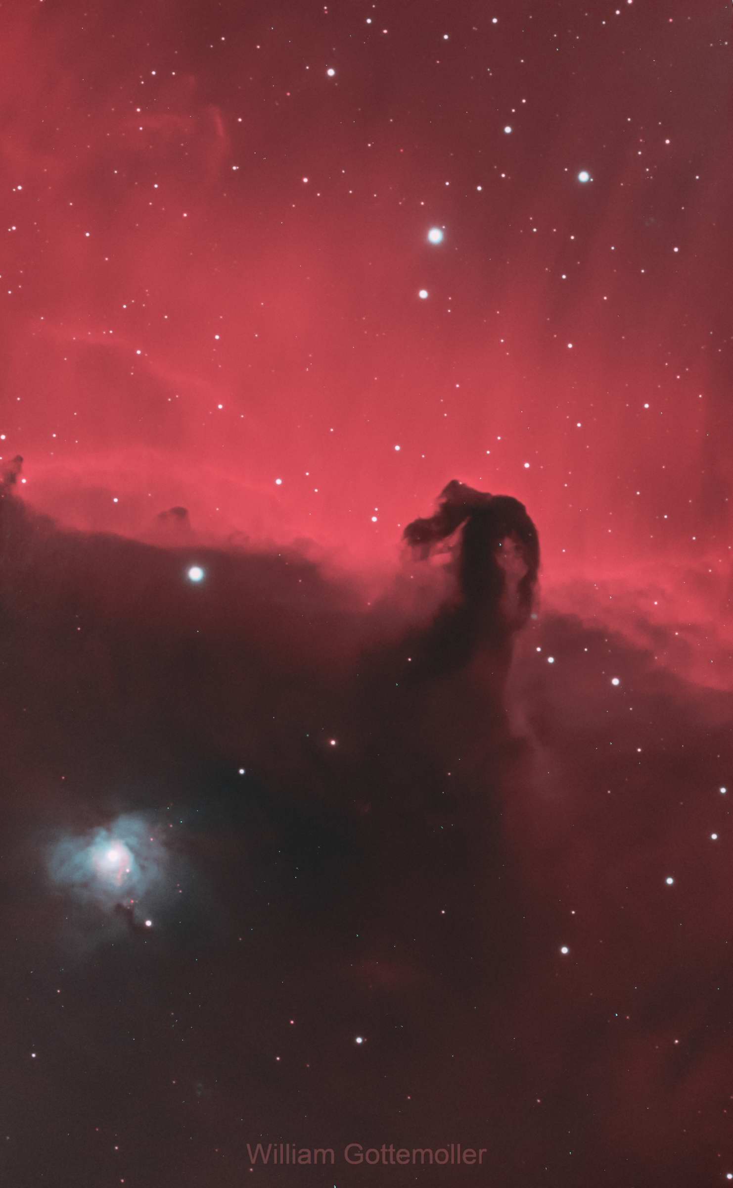 Horsehead Nebula (IC 434) and Reflection Nebula NGC 2023 in HOO by William Gottemoller 